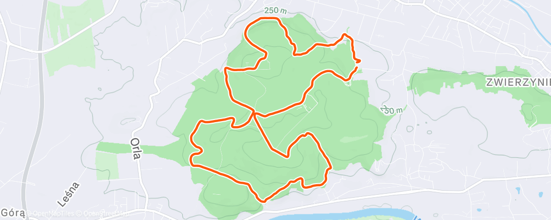 Map of the activity, Morning Run