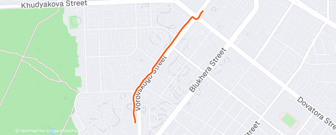 Карта физической активности (Утренняя прогулка)