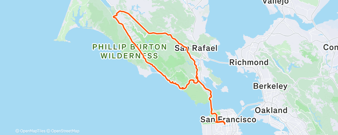 Карта физической активности (Chilly 🌶️)