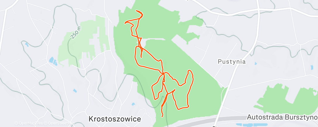 Map of the activity, Morning Run