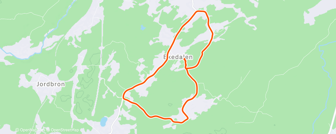 Map of the activity, Morning Run