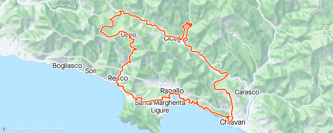 Map of the activity, CINQUECOLLI