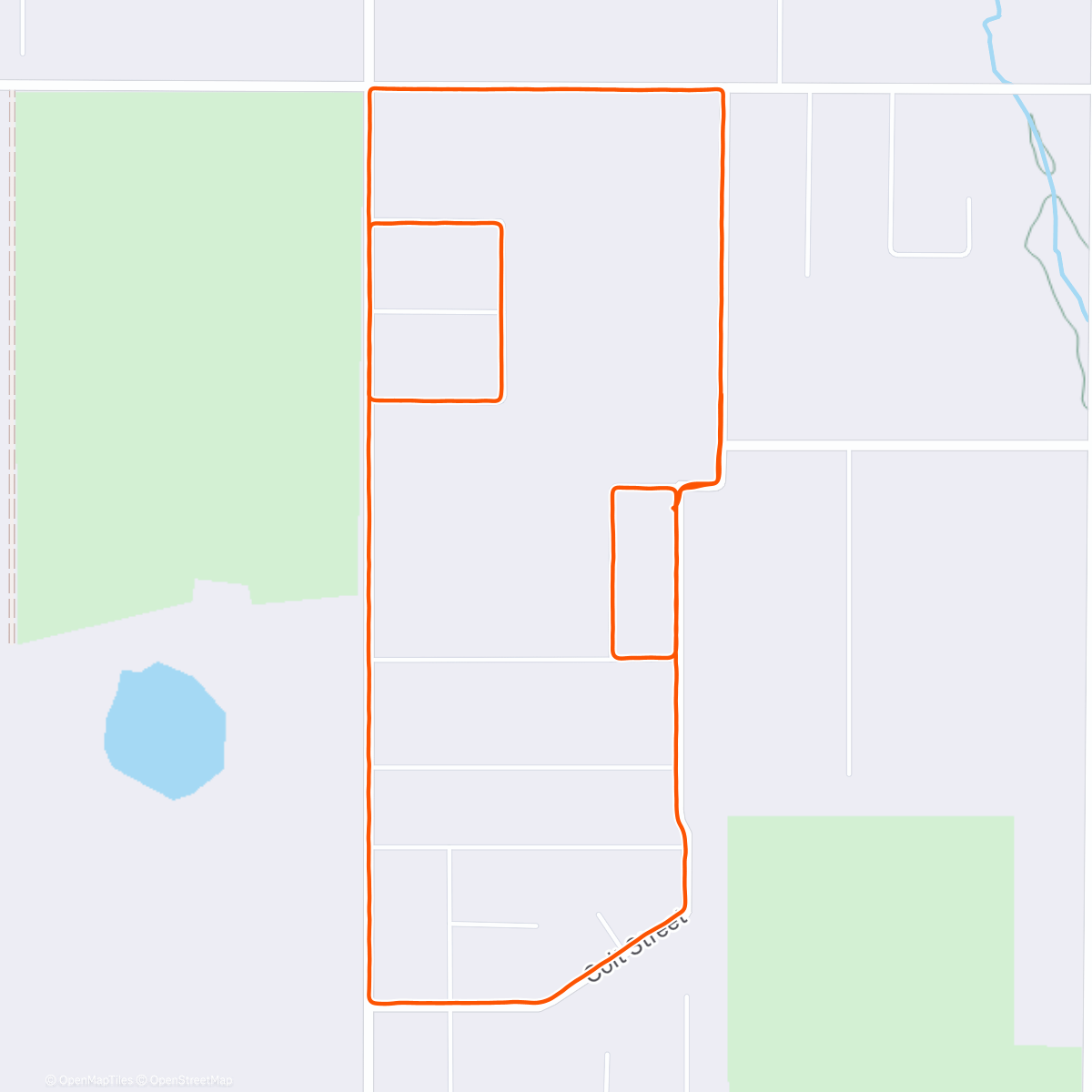 Карта физической активности (New Year’s Eve Eve Run)