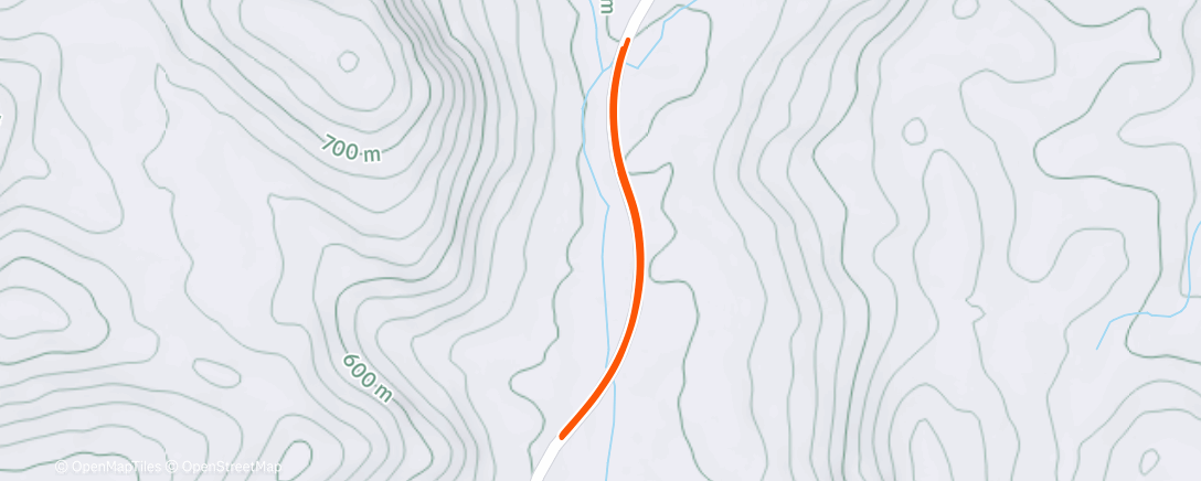 Map of the activity, Afternoon Run