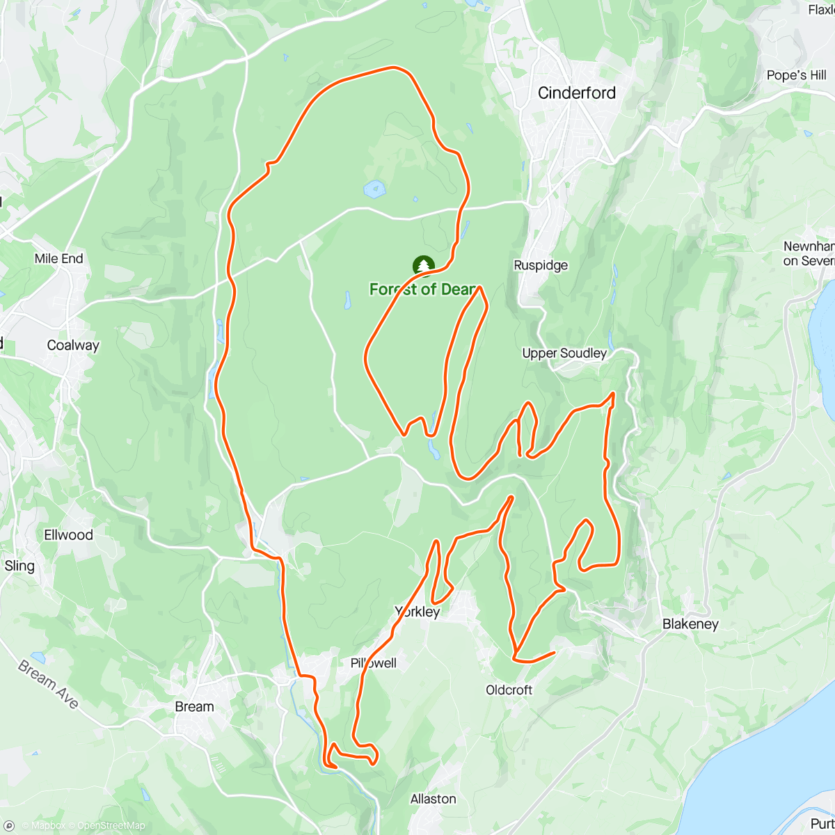 Map of the activity, Wow, forestry have left no stone unturned.