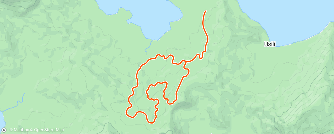 Mapa de la actividad (Zwift - 03. Cadence and Cruise on Jungle Circuit in Watopia)