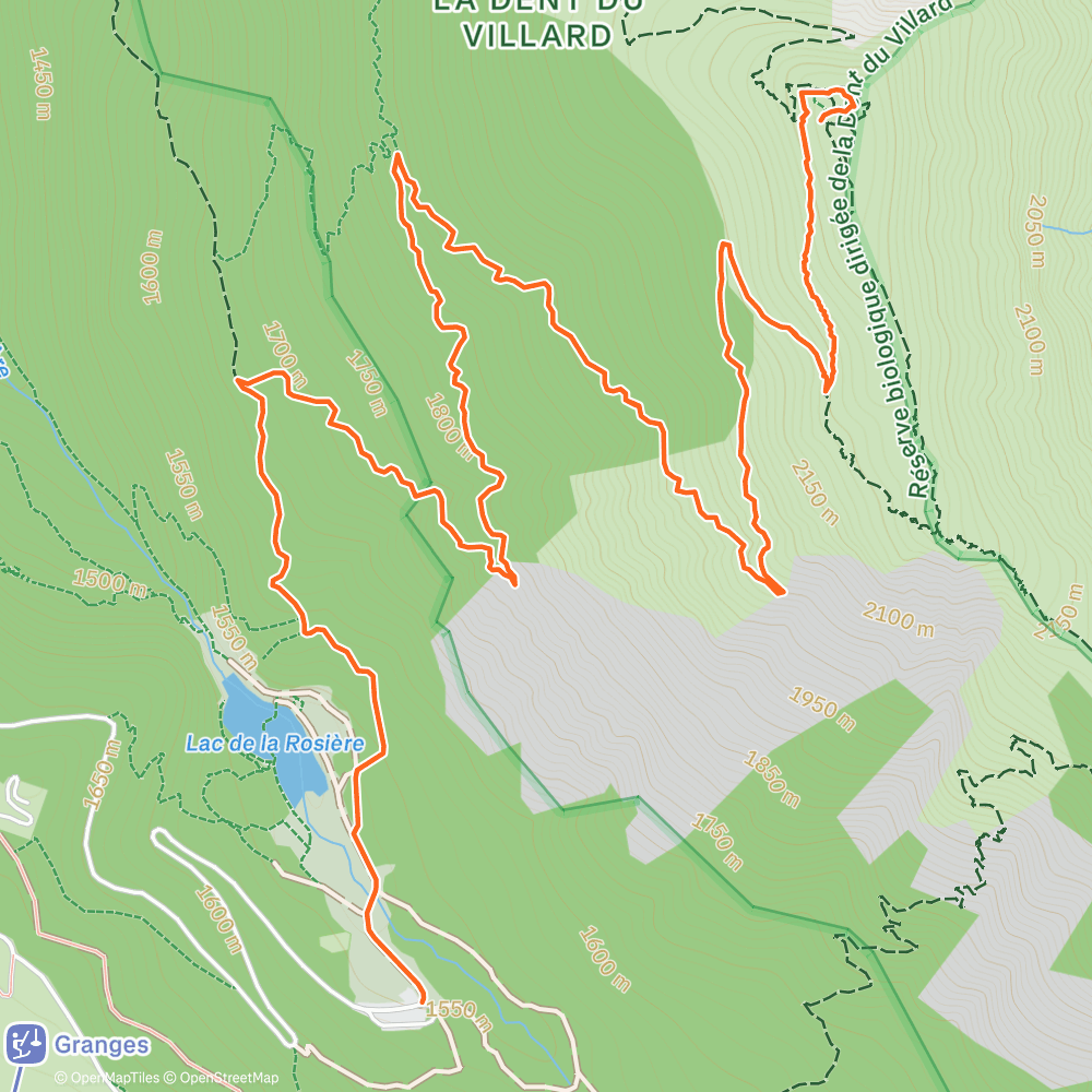 Map of the activity