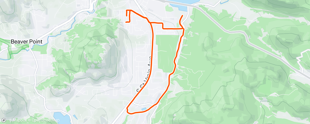 Map of the activity, Morning Run