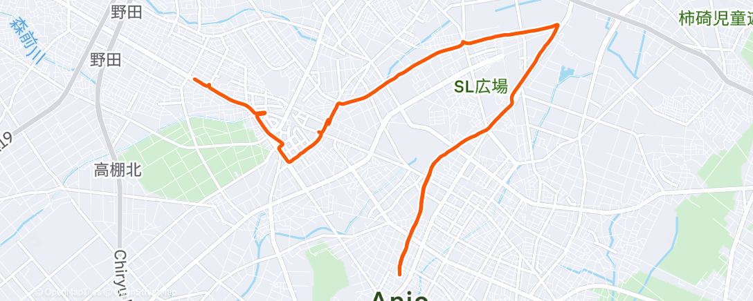 Карта физической активности (Lunch Run)