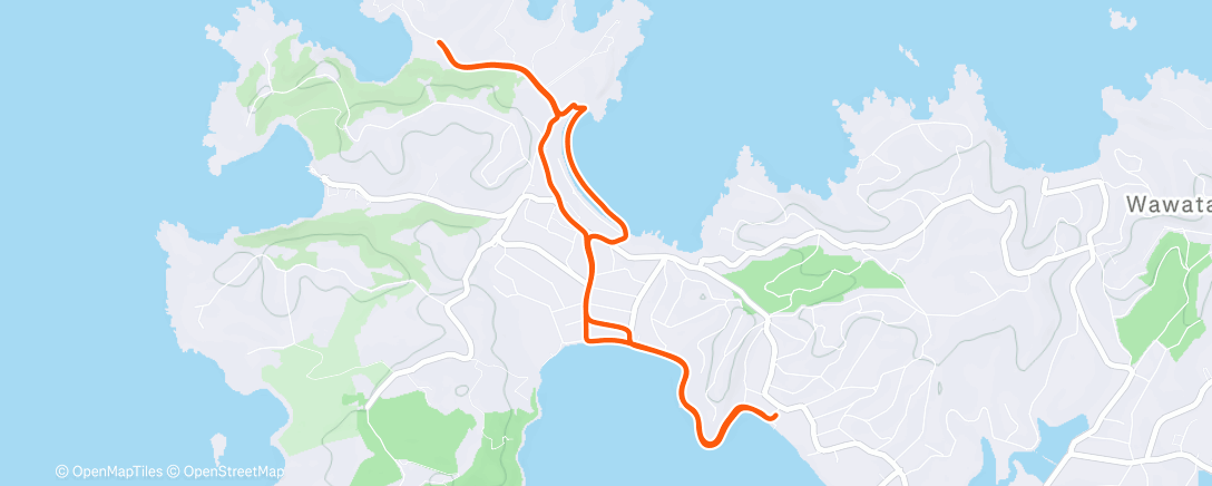 Карта физической активности (GIRLS + BILLY)