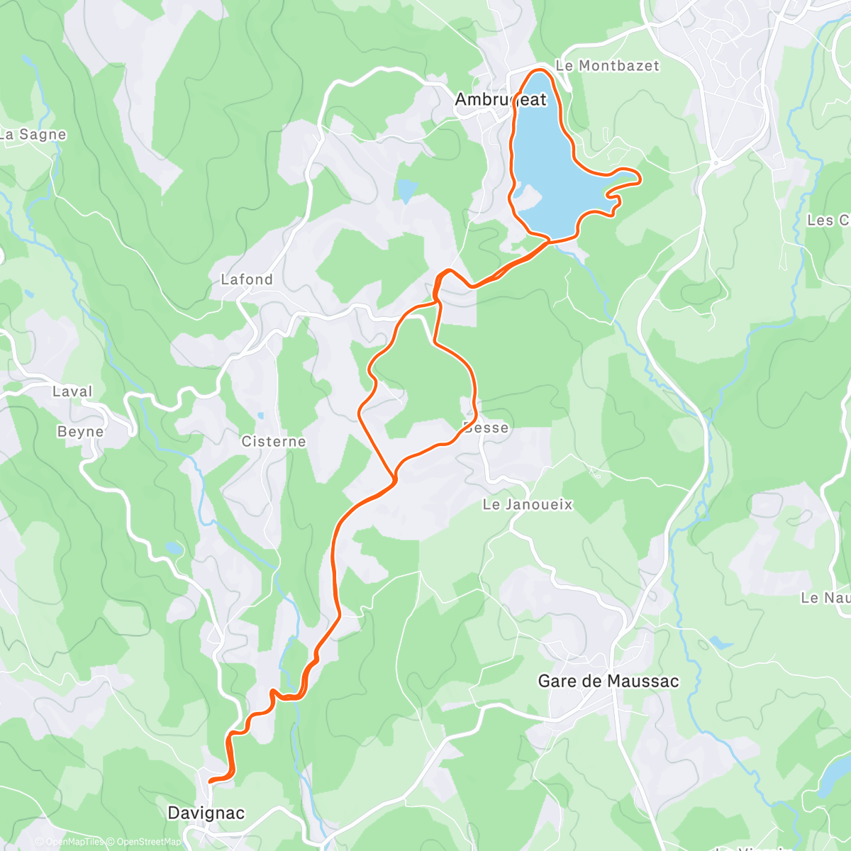 Карта физической активности (Morning Trail Run)