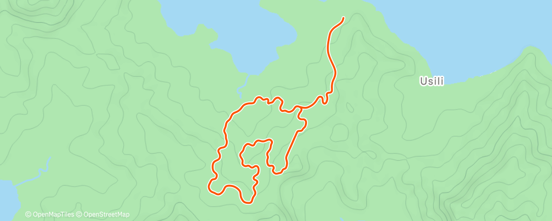 Карта физической активности (Zwift - Lionel Sanders' Yellow Day Workout on Jungle Circuit in Watopia)