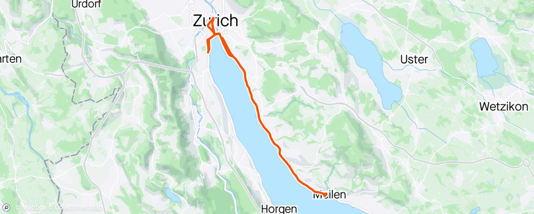 Map of the activity, Zurich Marathon