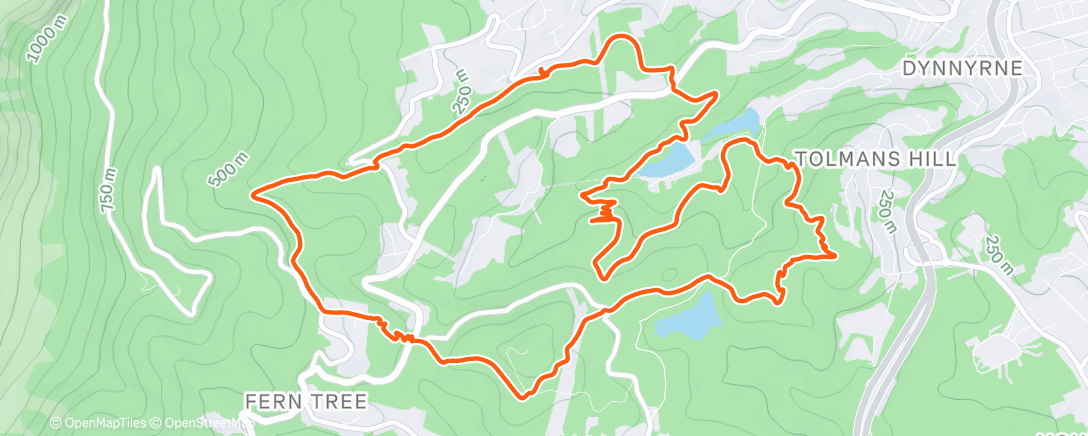Map of the activity, Soho loop