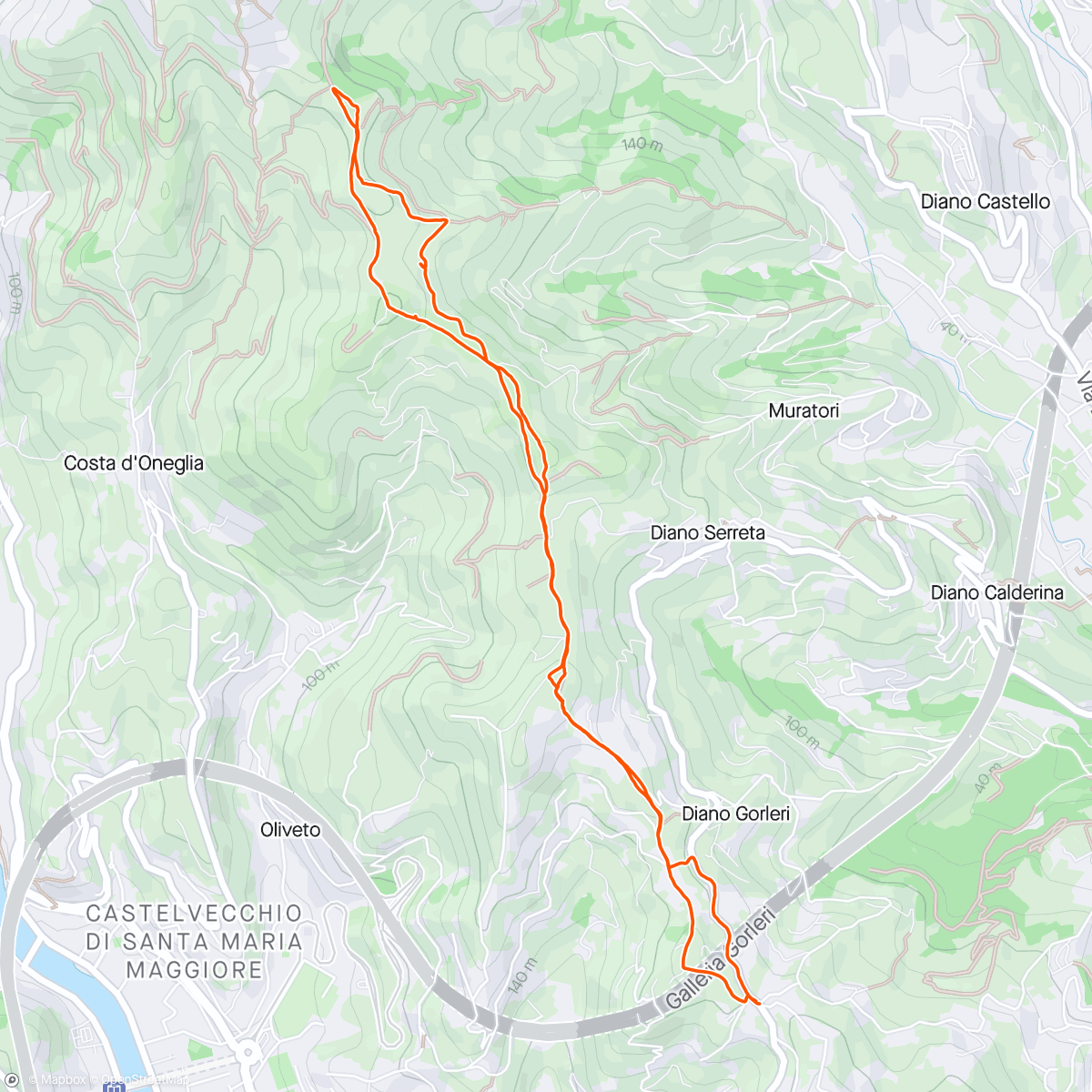 Map of the activity, Gorleri - Quadro di Ilario