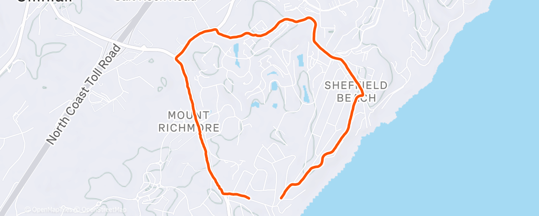 Карта физической активности (Morning Run)