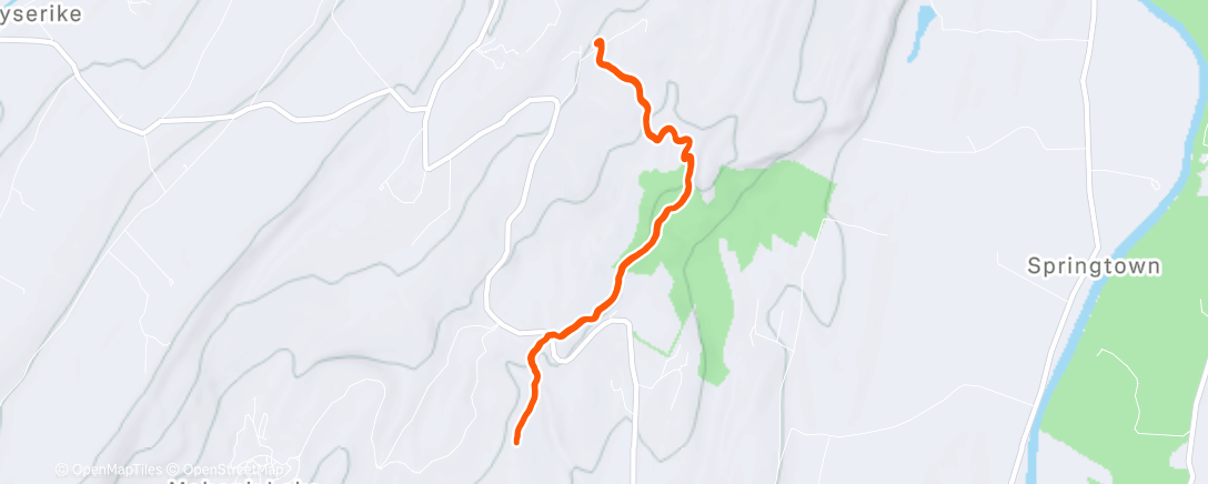 Карта физической активности (Morning Run)