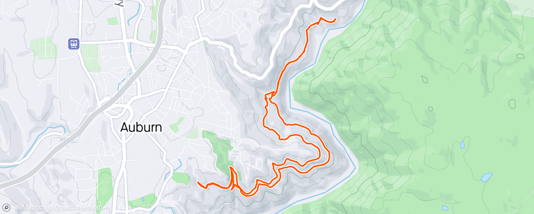 Map of the activity, Trail run with buddy