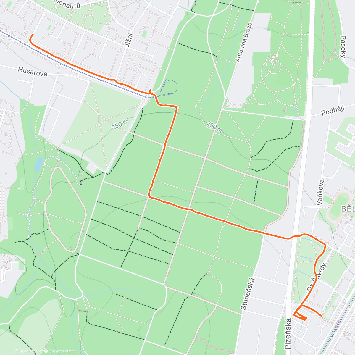 Карта физической активности (Walk)