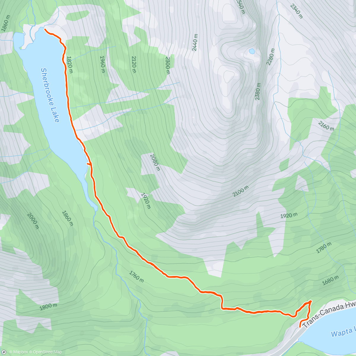 Map of the activity, I wish I didn't, but I do
Remember every moment on the nights with you