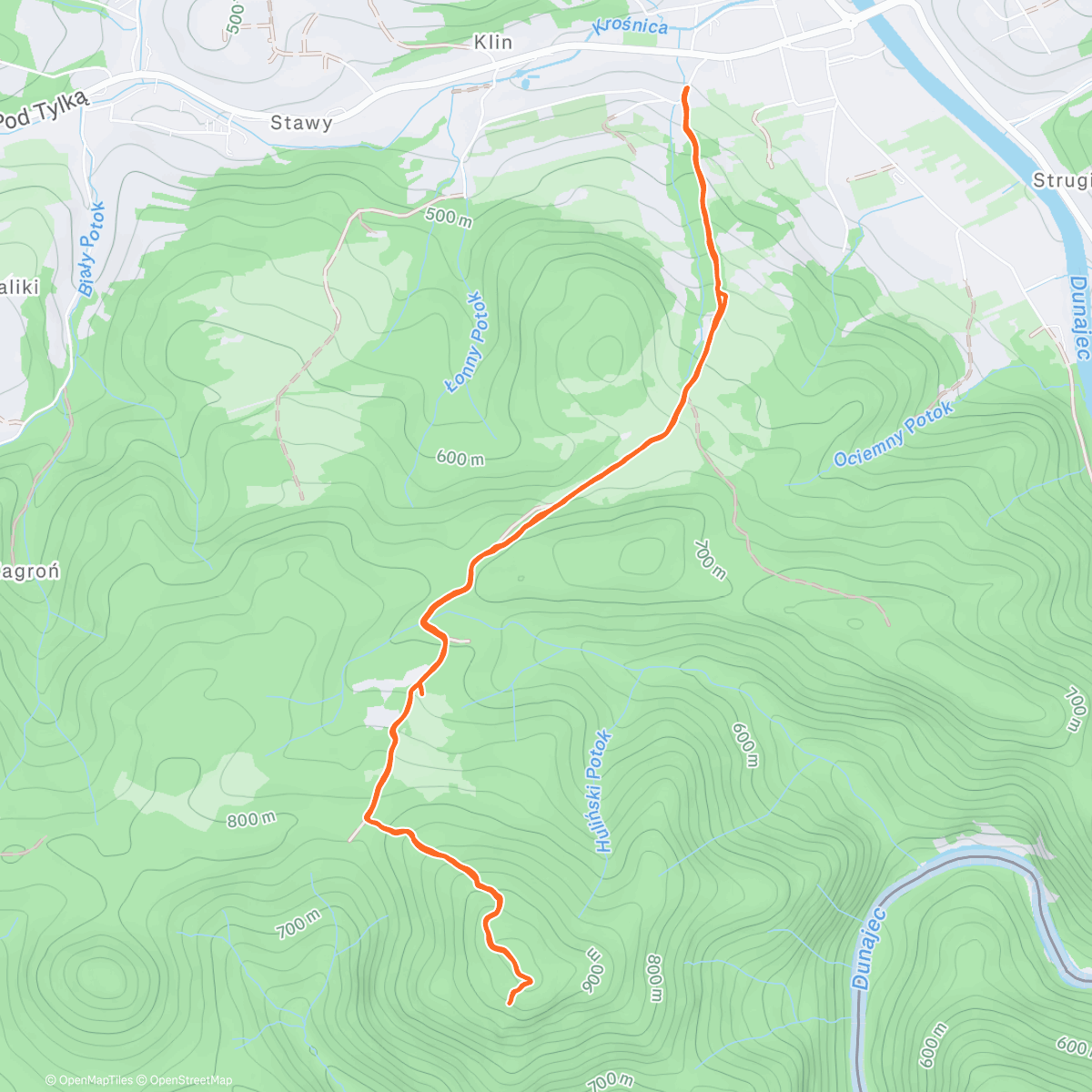 Карта физической активности (Morning Hike)