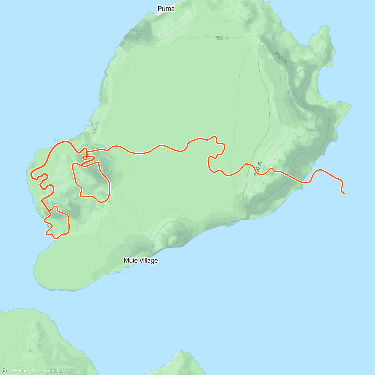 Map of the activity, Zwift - 01. Sweet Spot Foundation on Seaside Sprint in Watopia