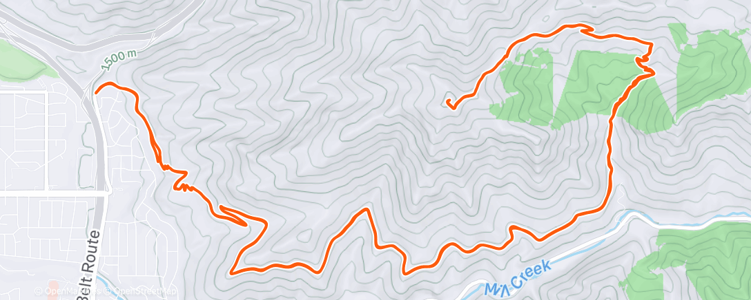 Карта физической активности (Afternoon Trail Run)