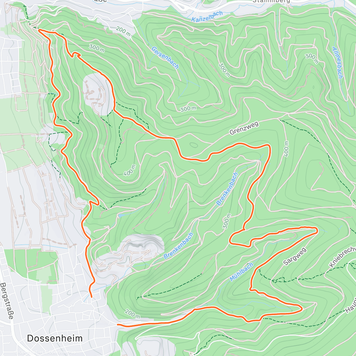 Карта физической активности (Footing z1)