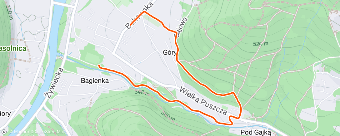 Mapa da atividade, Morning Walk