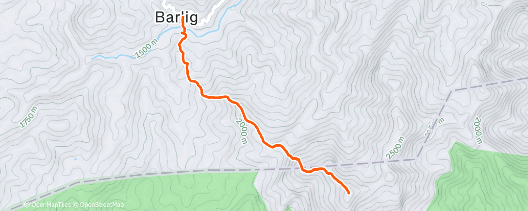 Карта физической активности (Morning Trail Run)