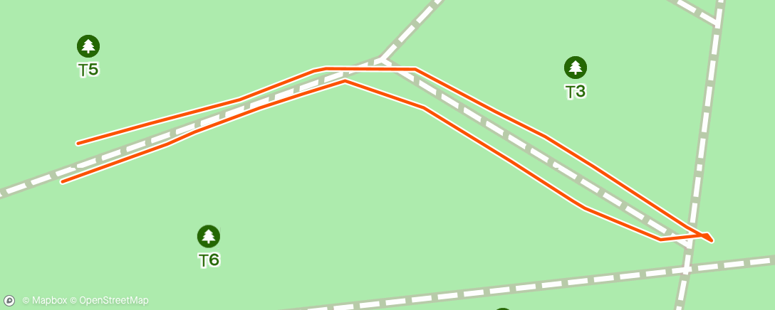 Map of the activity, Afternoon Run