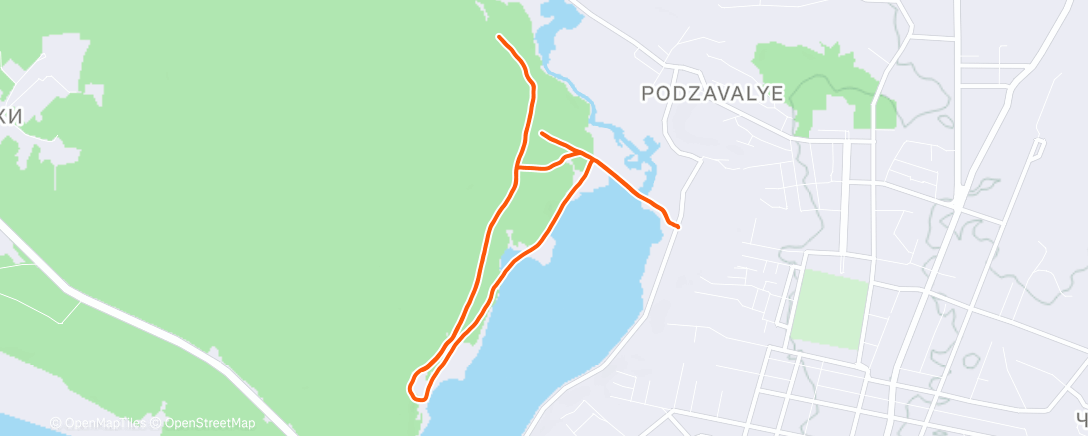 Карта физической активности (Утренний забег)