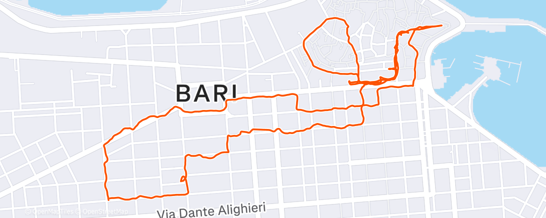 Карта физической активности (Evening Walk)