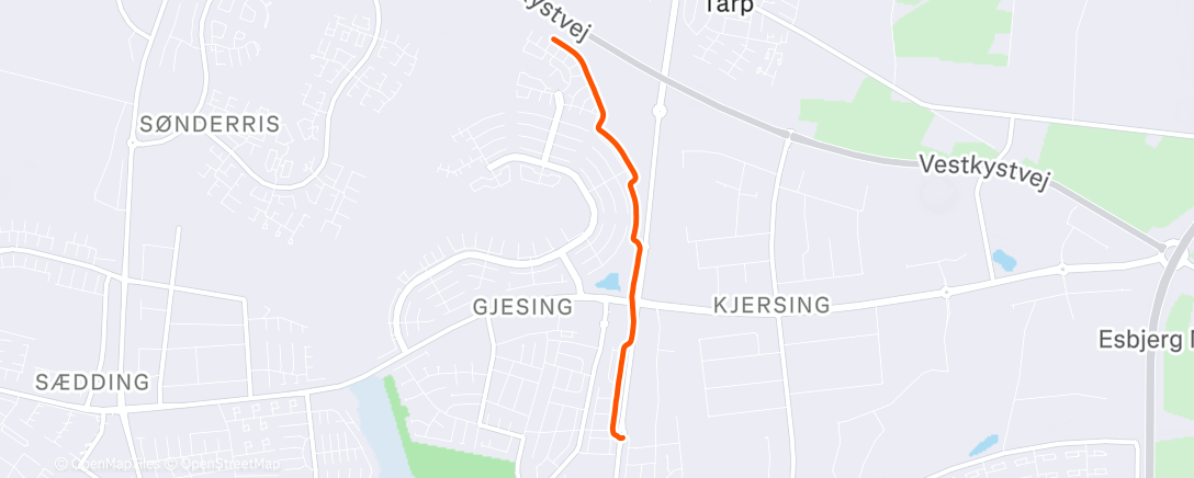 Map of the activity, Afternoon Run
