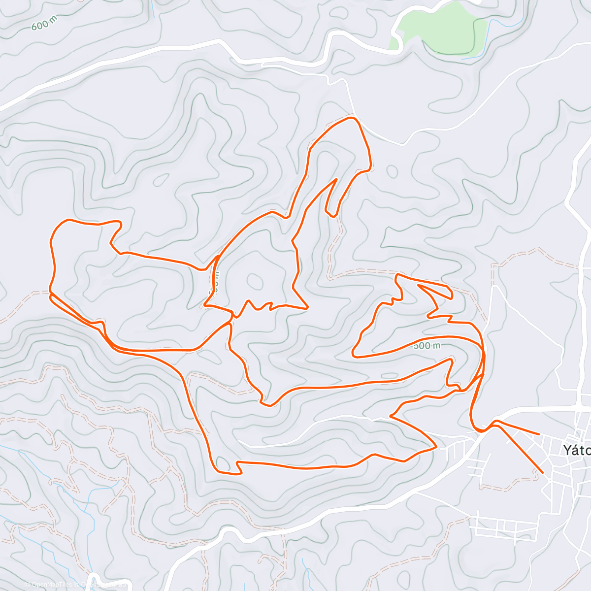 Карта физической активности (Btt light, terreno TOP)