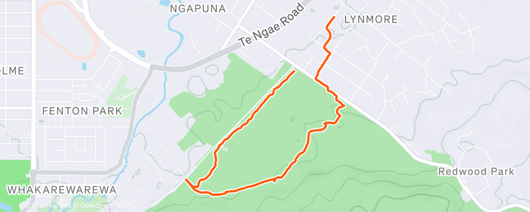 Map of the activity, Christmas Day Walk