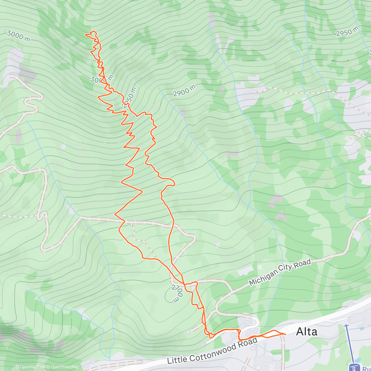 Map of the activity, Day 16: Sugar Beans