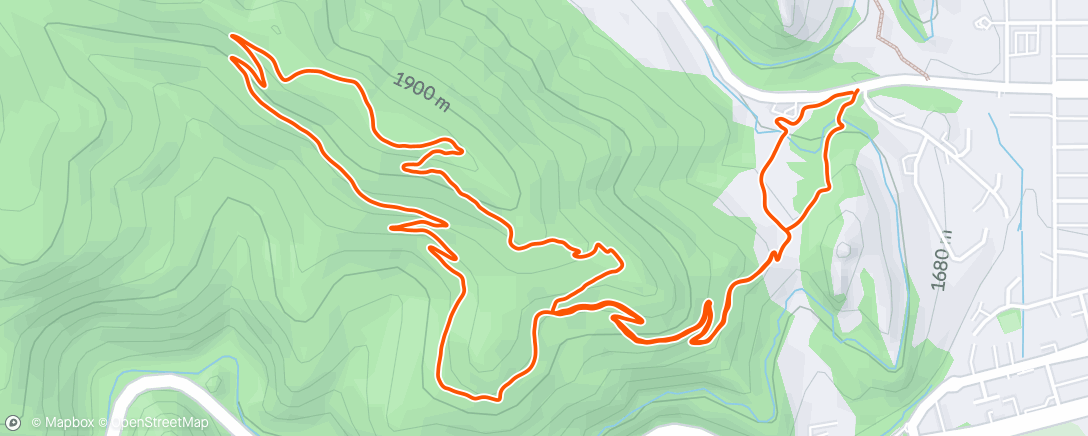Map of the activity, Anemone