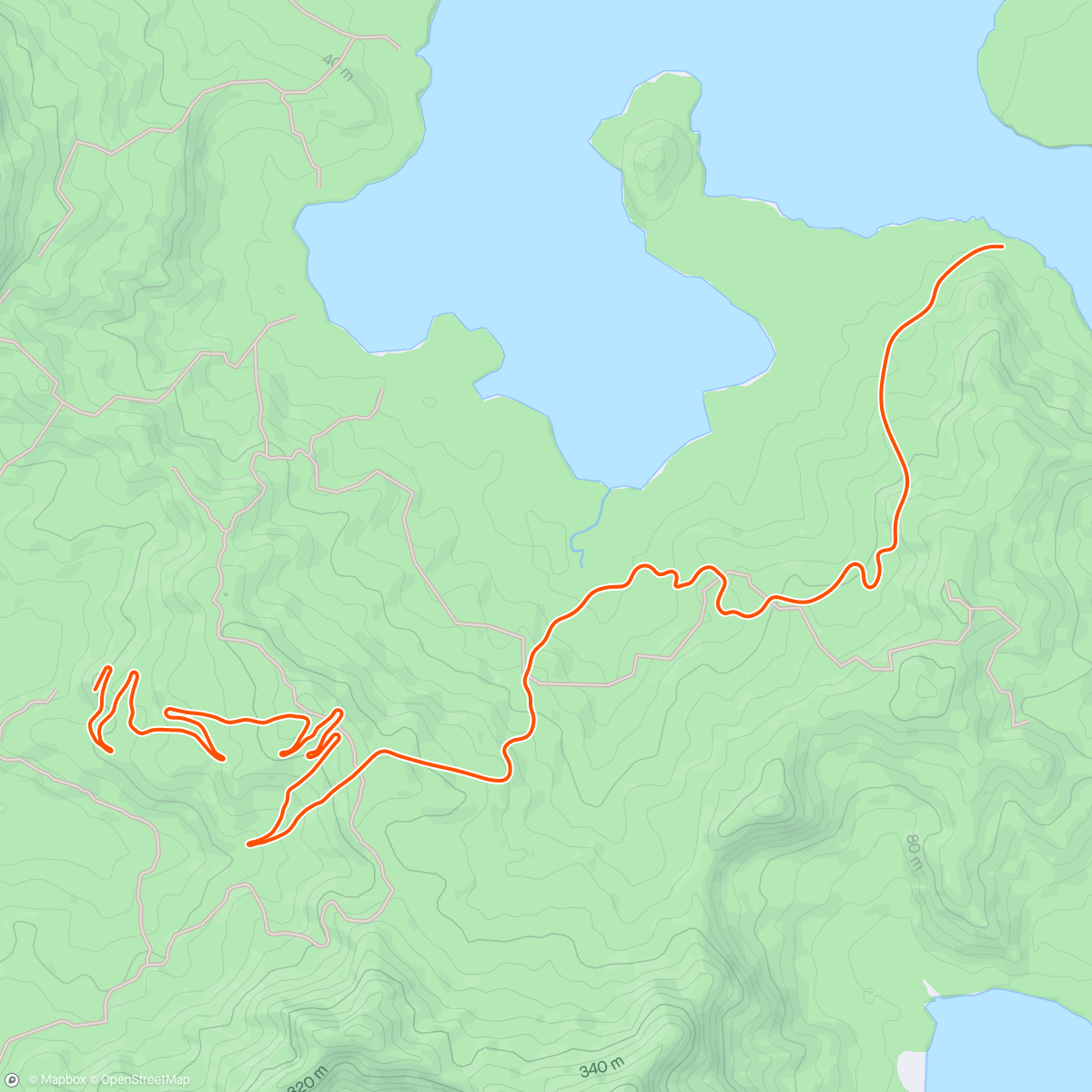 Map of the activity, Zwift - 60 min på alpen lidt forbi 11