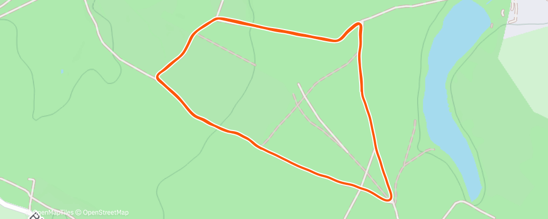 Карта физической активности (Morning Run)