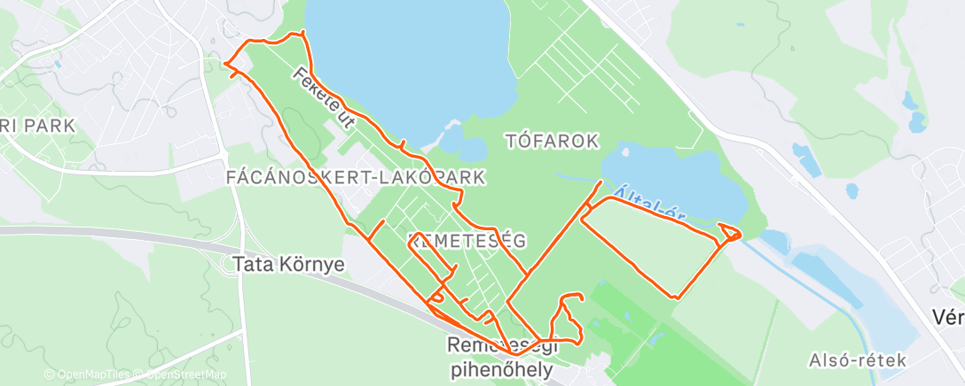 Map of the activity, Morning Walk