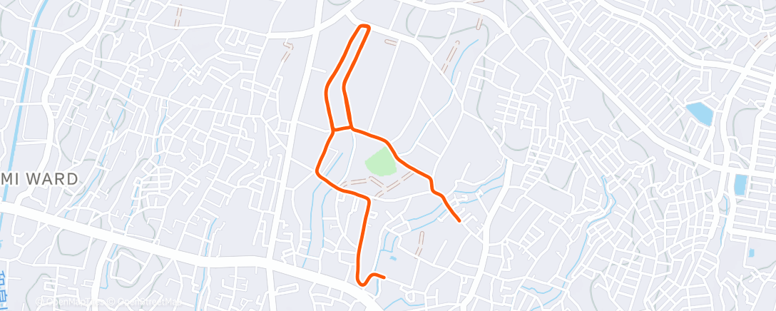 Map of the activity, Morning Run