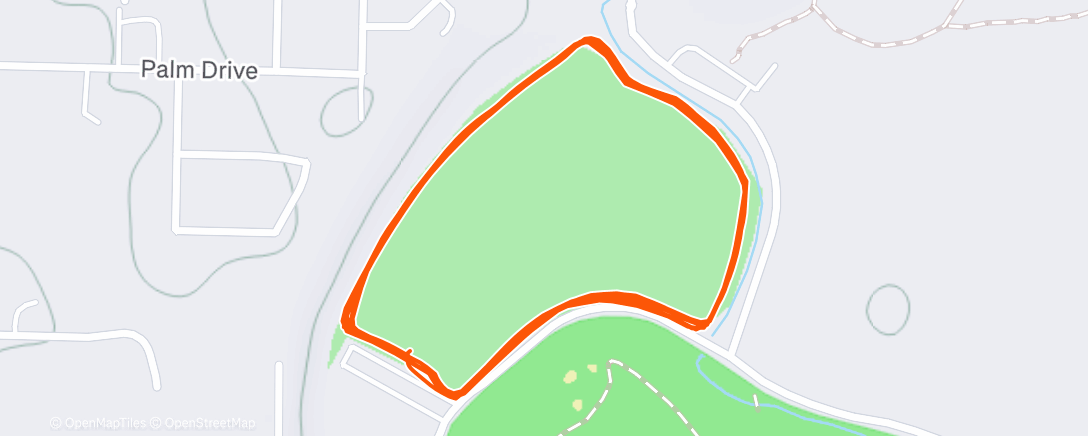 Карта физической активности (Morning Run)