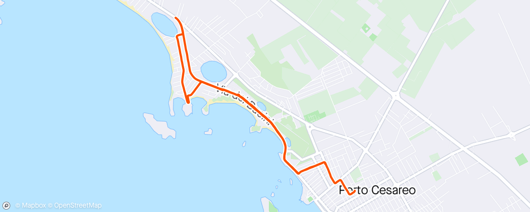 Map of the activity, Morning Run...scarico🏃