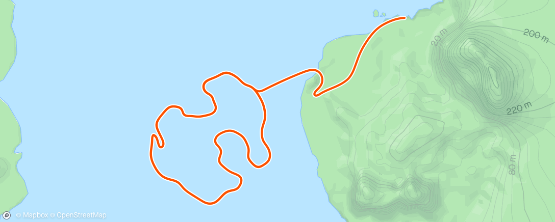 Карта физической активности (Zwift - Race: Zwift Crit Racing Club - Volcano Circuit CCW (C) on Volcano Circuit CCW in Watopia)