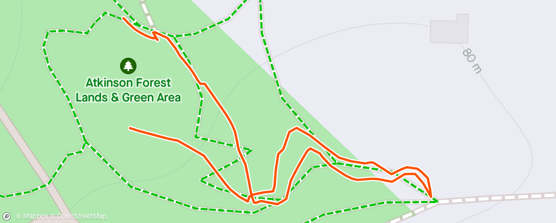 Map of the activity, Night walking