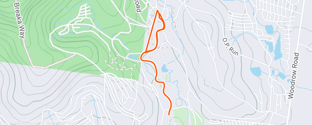 Карта физической активности (Morning Run)