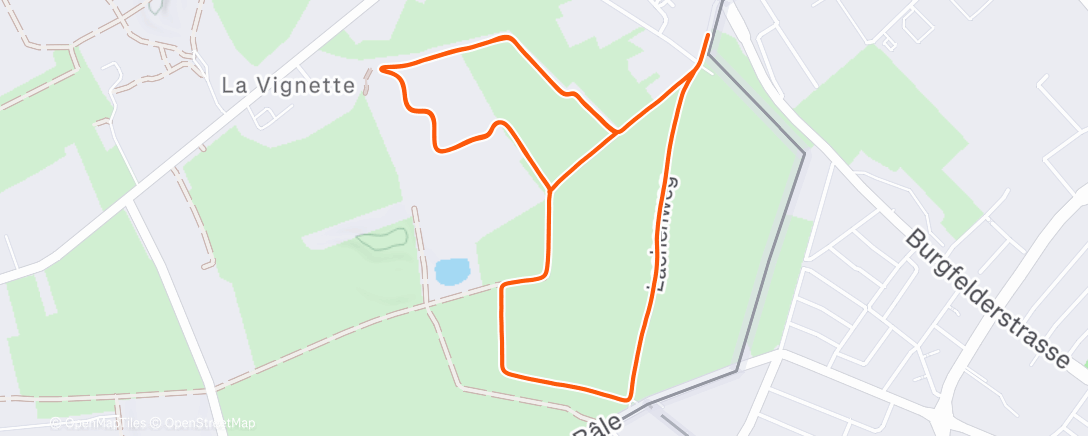 Map of the activity, Afternoon Run