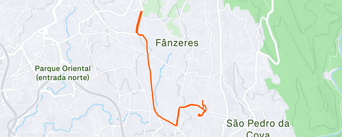 Карта физической активности (Evening Run)