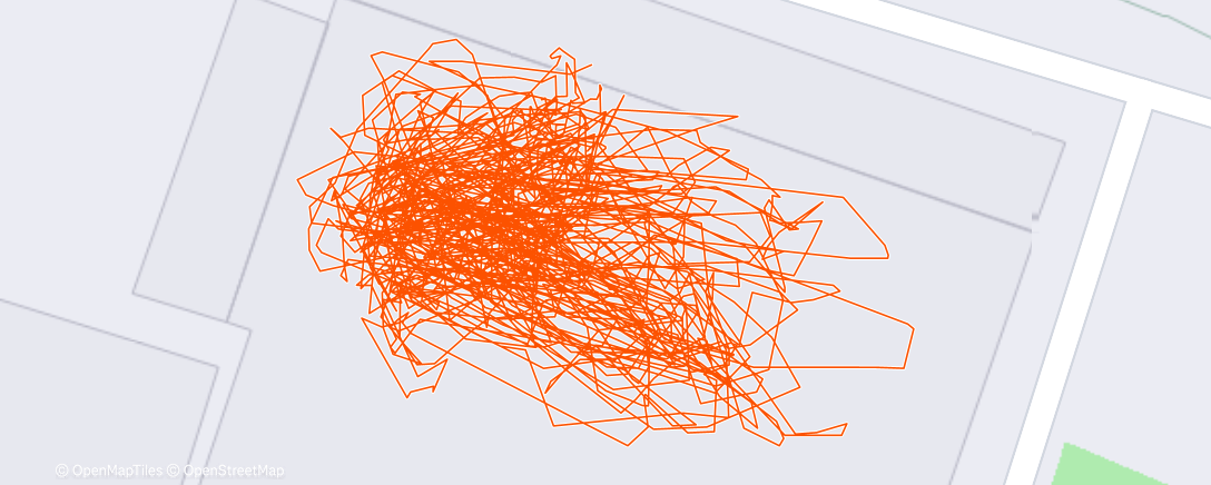 Карта физической активности (Evening Run)